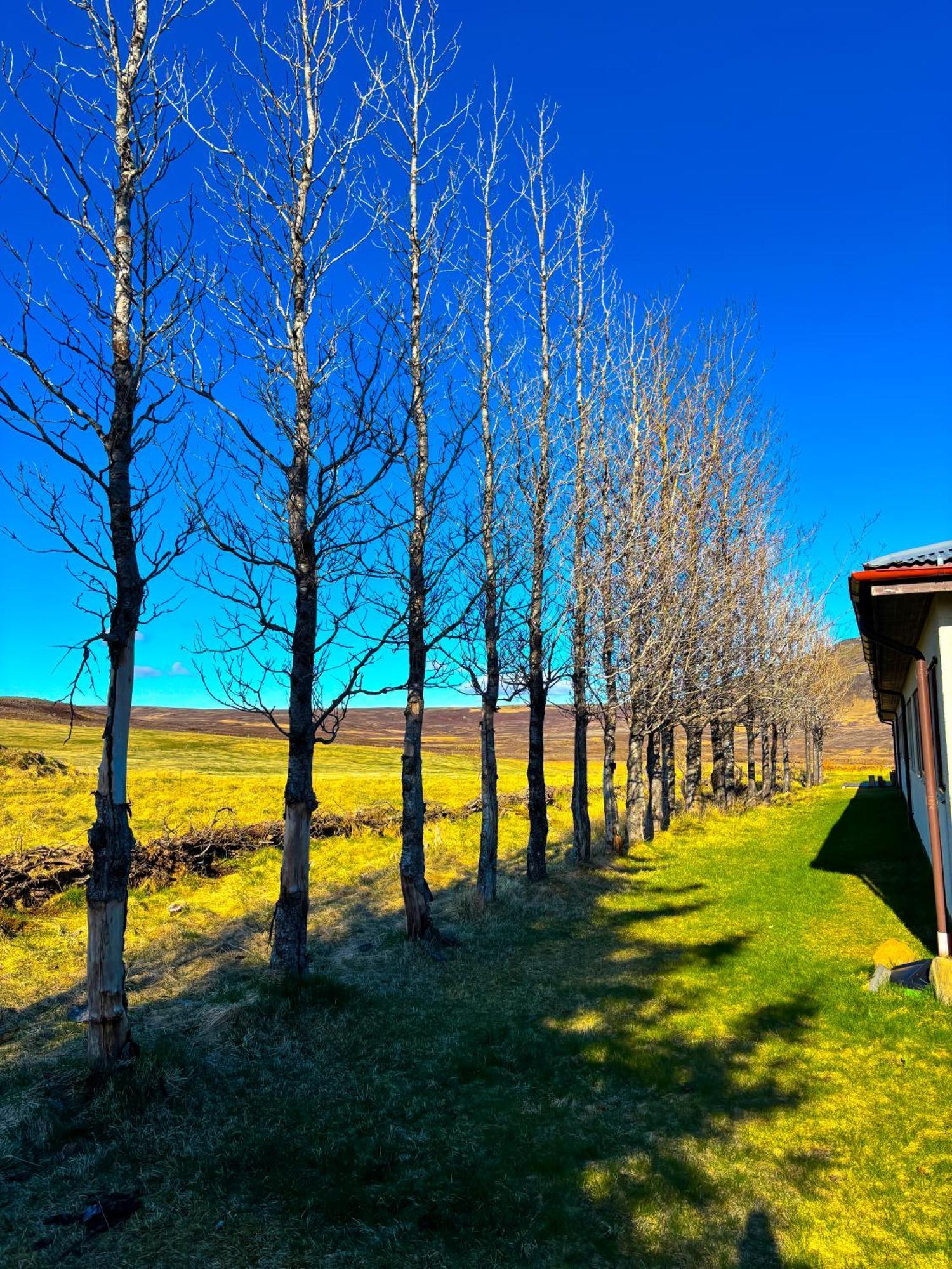 Готель Bru Country Estate Сельфосс Екстер'єр фото